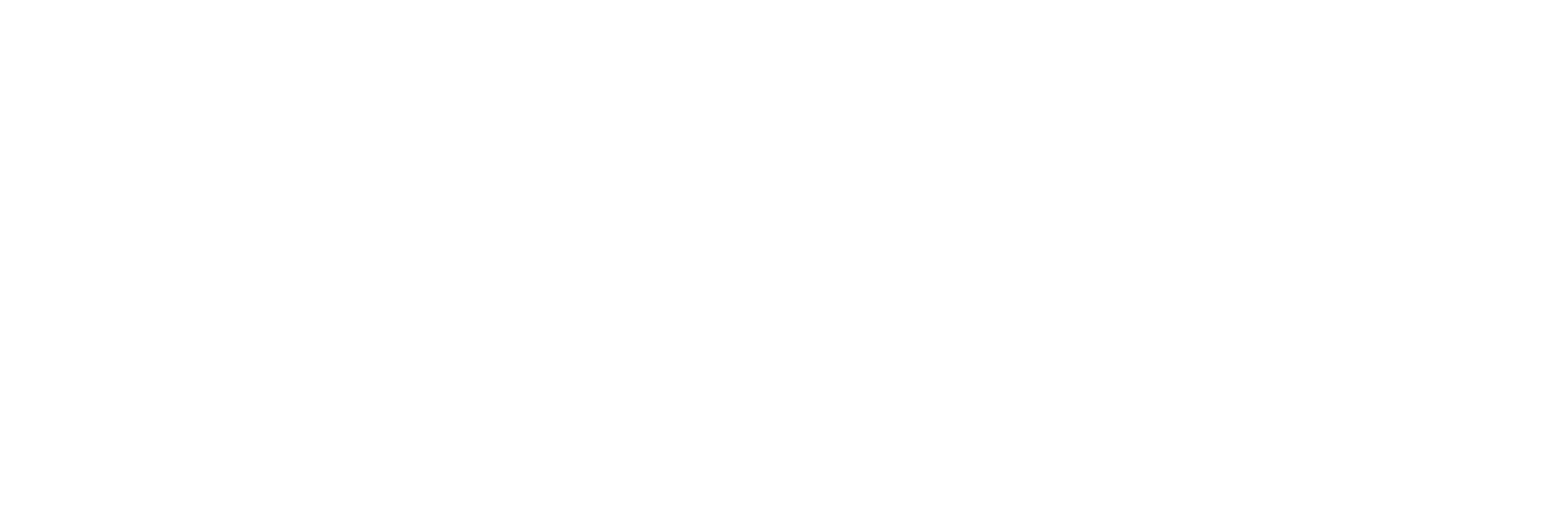 The Peer Project Logo
